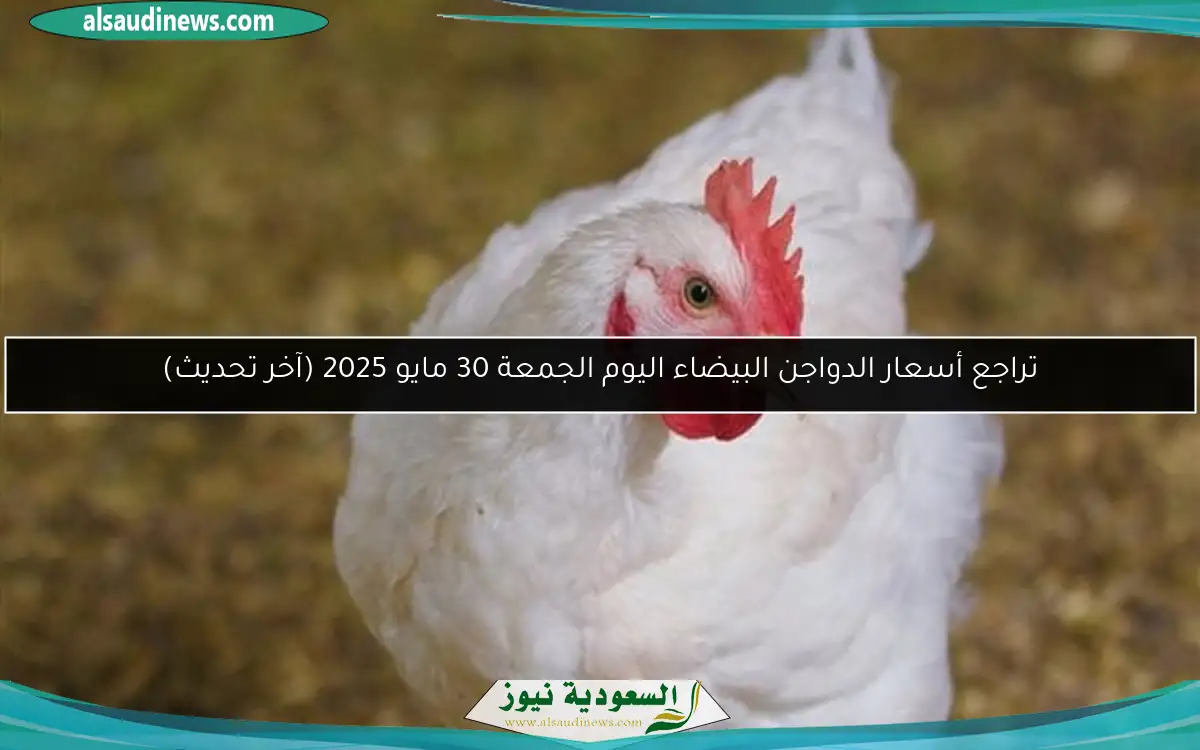 تراجع أسعار الدواجن البيضاء اليوم الجمعة 30 مايو 2025 (آخر تحديث)