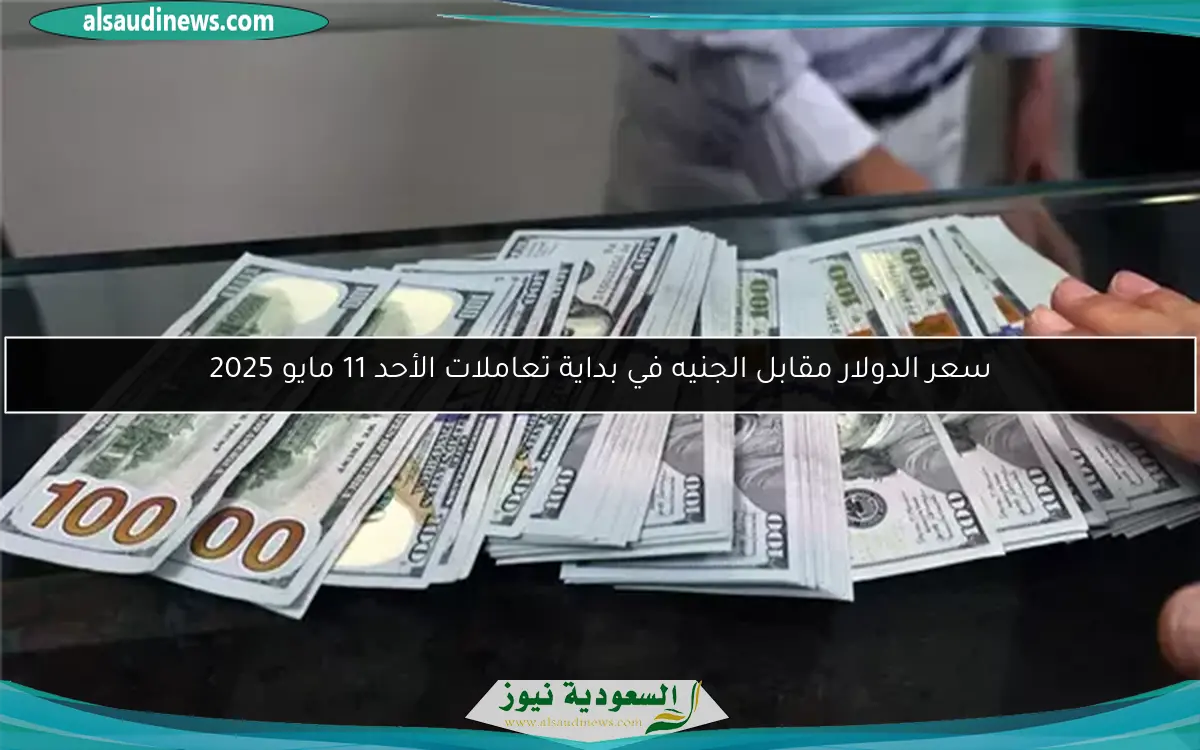 تحديثات سعر الدولار مقابل الجنيه اليوم الأربعاء 14 مايو 2025