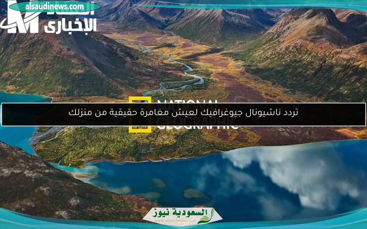 تردد ناشيونال جيوغرافيك لعيش مغامرة حقيقية من منزلك