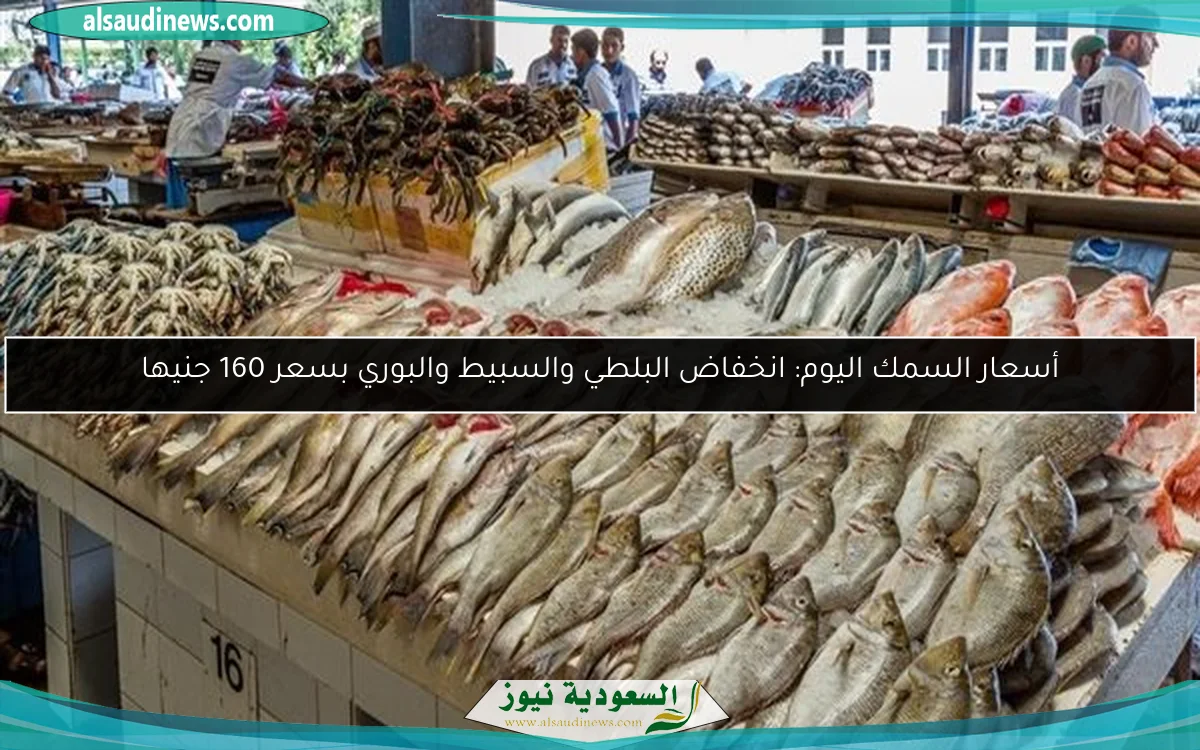 أسعار السمك اليوم: انخفاض البلطي والسبيط والبوري بسعر 160 جنيها