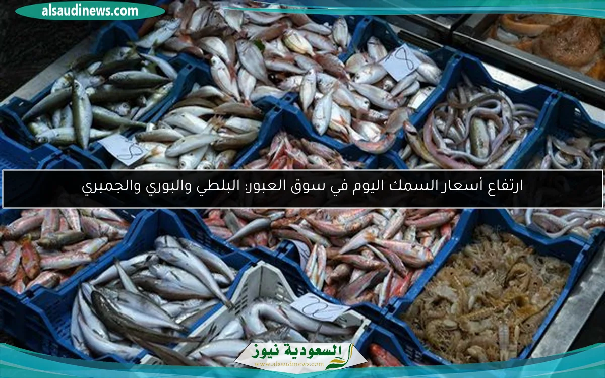 ارتفاع أسعار السمك اليوم في سوق العبور: البلطي والبوري والجمبري