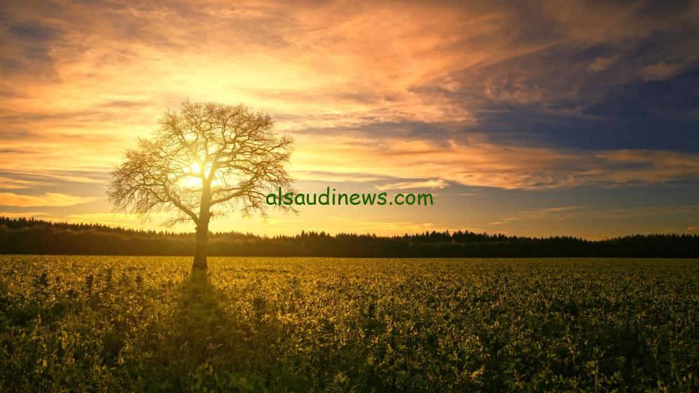 درجات الحرارة العظمى في مدن المملكة تصل إلى 41 مئوية في الدمام