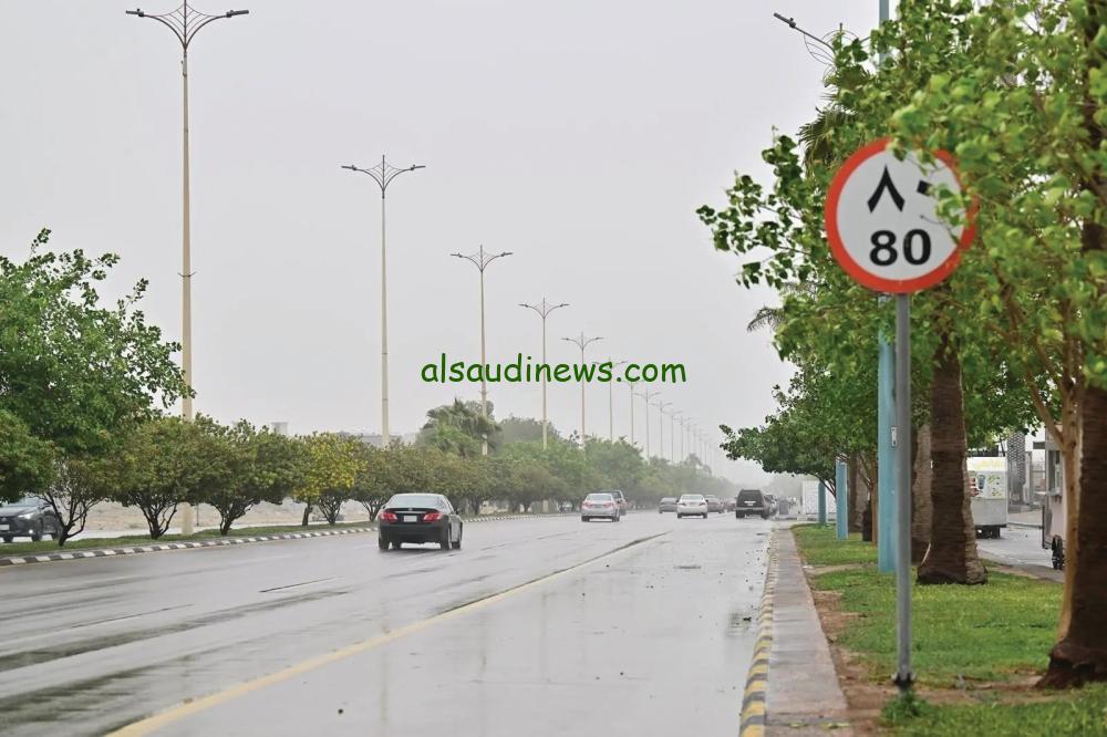 توقعات الطقس يوم السبت: أمطار رعدية ورياح تؤثر على الرؤية في 10 مناطق