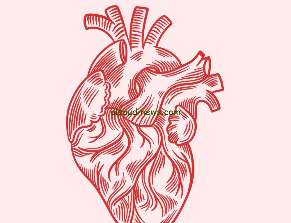 استشاري قلب يبرز تأثير الغبار على زيادة مخاطر الجلطات القلبية