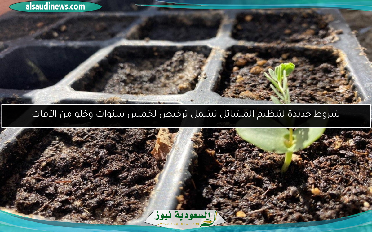 شروط جديدة لتنظيم المشاتل تشمل ترخيص لخمس سنوات وخلو من الآفات