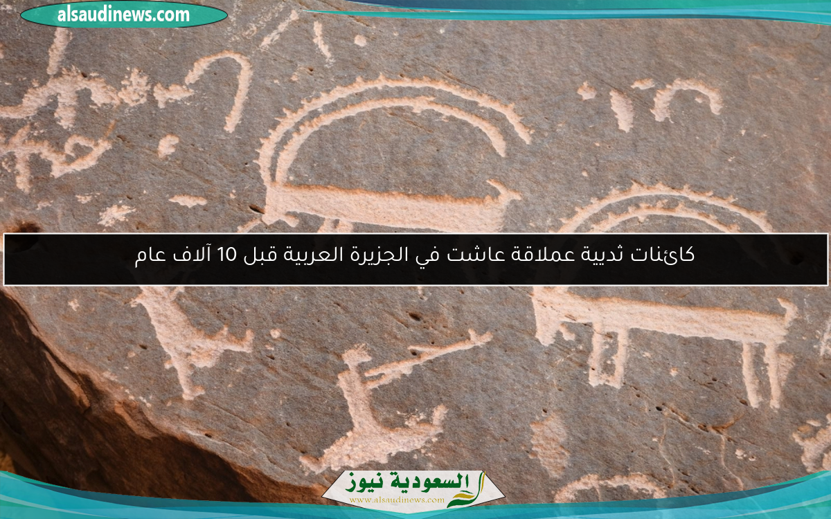 كائنات ثديية عملاقة عاشت في الجزيرة العربية قبل 10 آلاف عام