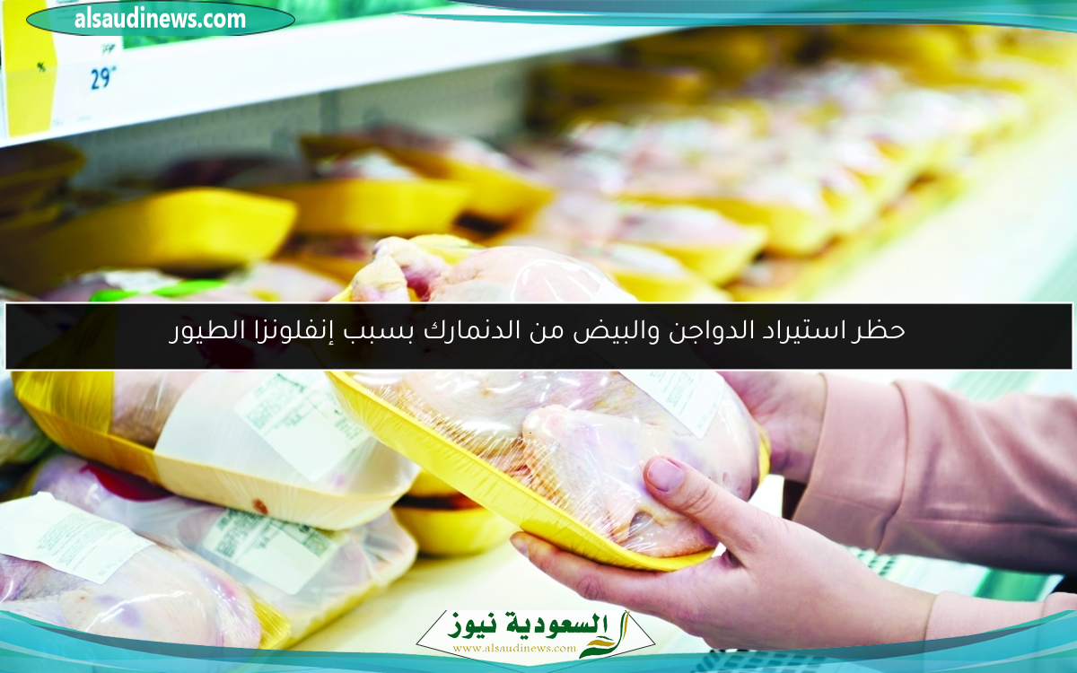 حظر استيراد الدواجن والبيض من الدنمارك بسبب إنفلونزا الطيور