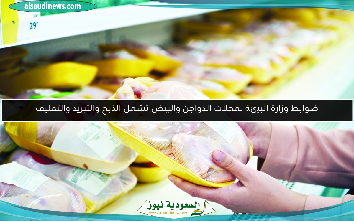 ضوابط وزارة البيئة لمحلات الدواجن والبيض تشمل الذبح والتبريد والتغليف