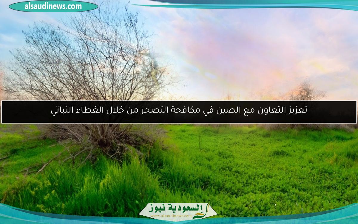 تعزيز التعاون مع الصين في مكافحة التصحر من خلال الغطاء النباتي