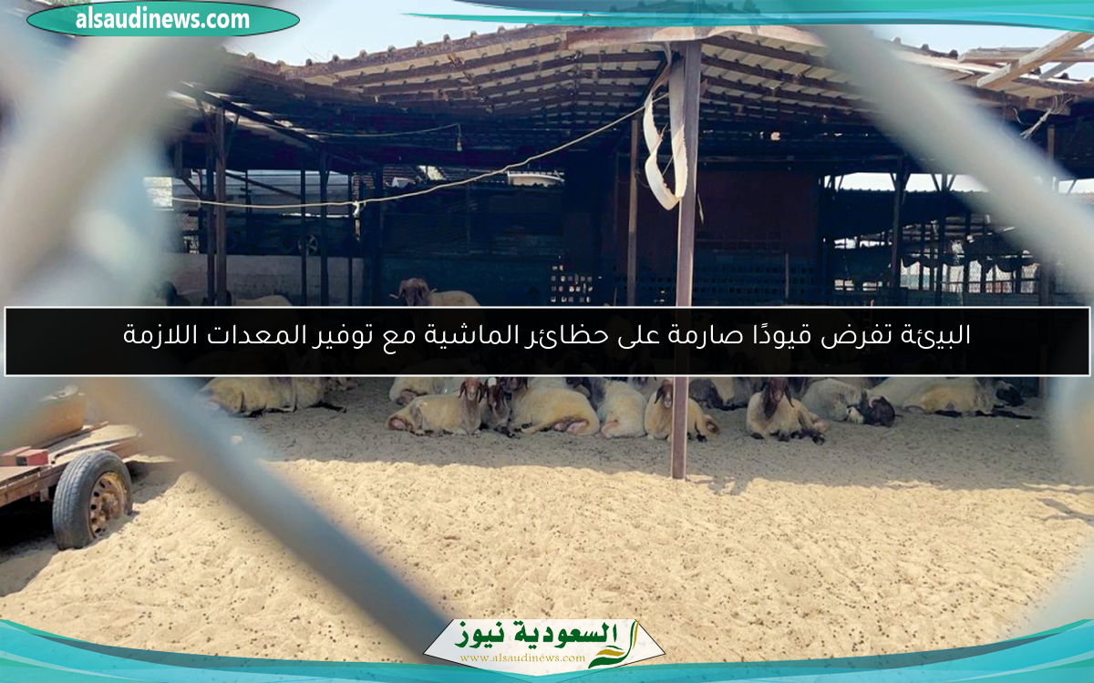 البيئة تفرض قيودًا صارمة على حظائر الماشية مع توفير المعدات اللازمة