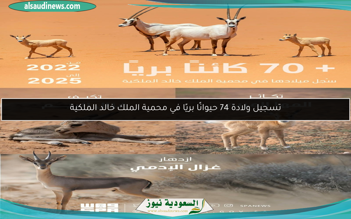 تسجيل ولادة 74 حيوانًا بريًا في محمية الملك خالد الملكية