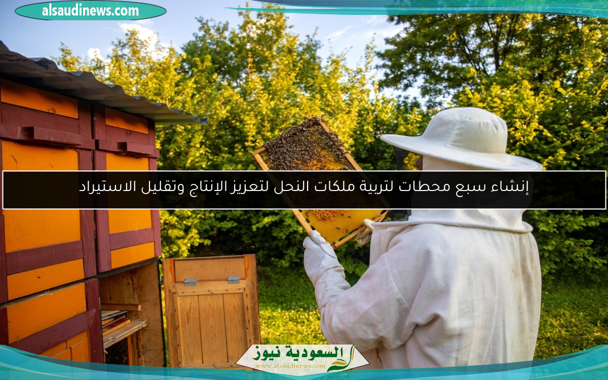 إنشاء سبع محطات لتربية ملكات النحل لتعزيز الإنتاج وتقليل الاستيراد