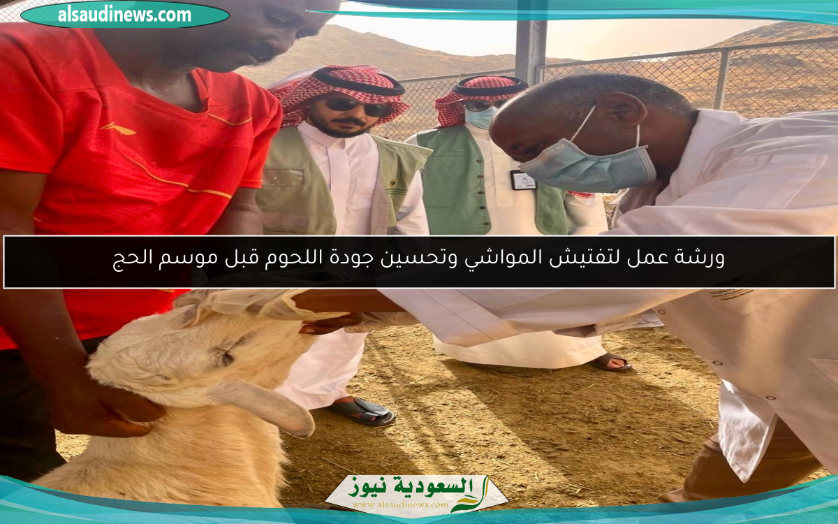 ورشة عمل لتفتيش المواشي وتحسين جودة اللحوم قبل موسم الحج