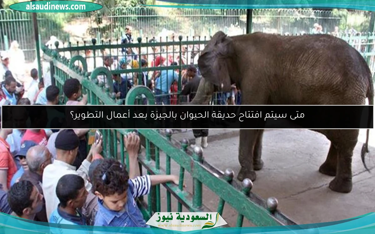 متى سيتم افتتاح حديقة الحيوان بالجيزة بعد أعمال التطوير؟
