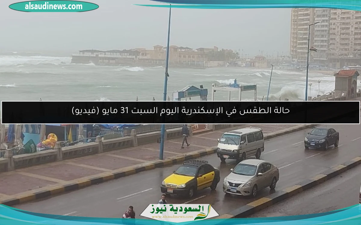 حالة الطقس في الإسكندرية اليوم السبت 31 مايو (فيديو)