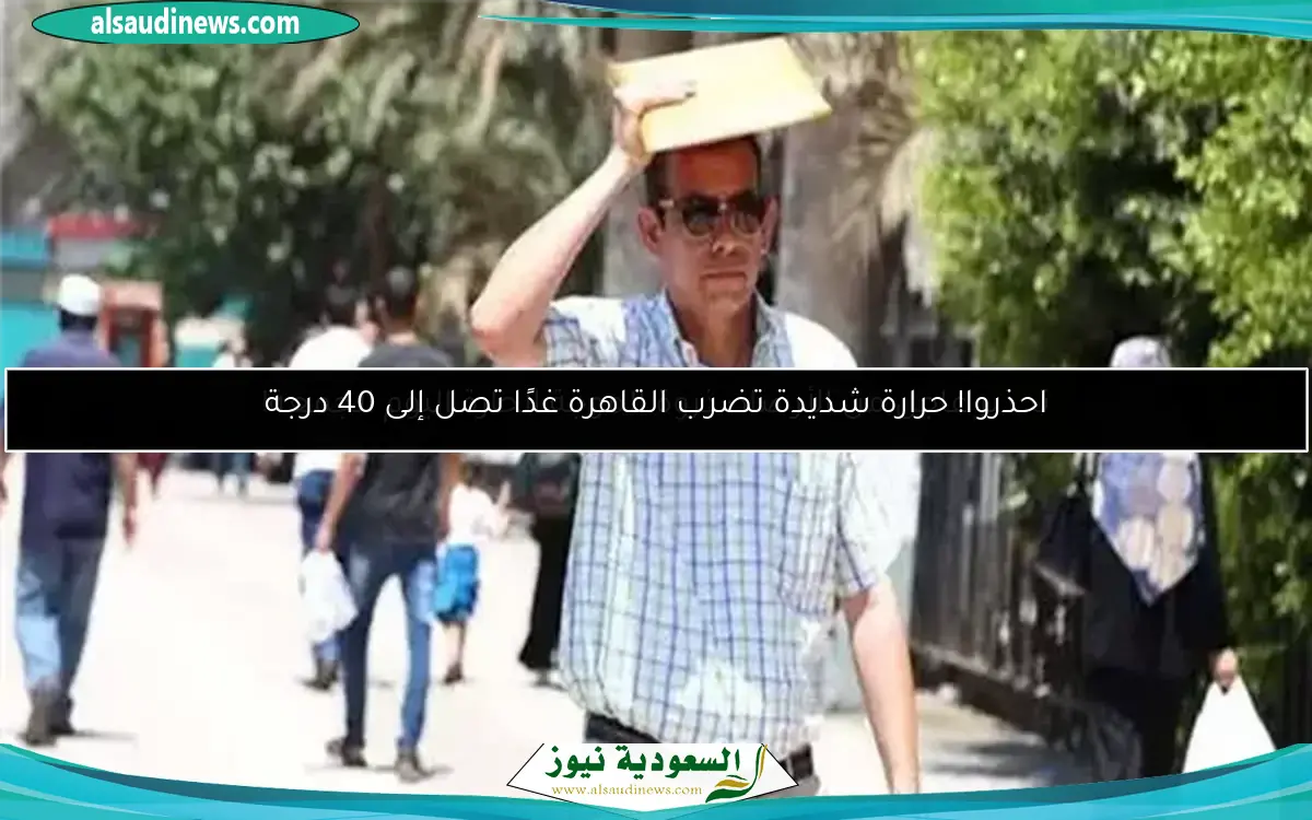 أسعار الخضراوات اليوم الخميس: ارتفاع كبير في البامية وورق العنب والليمون مفاجئ
