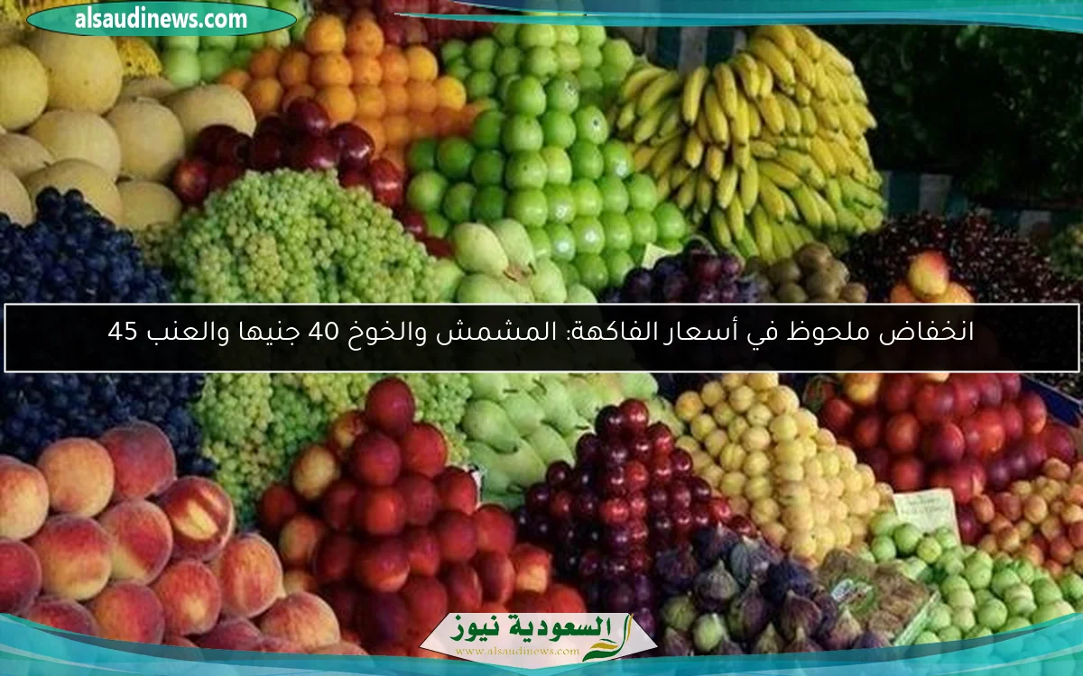 انخفاض ملحوظ في أسعار الفاكهة: المشمش والخوخ 40 جنيها والعنب 45