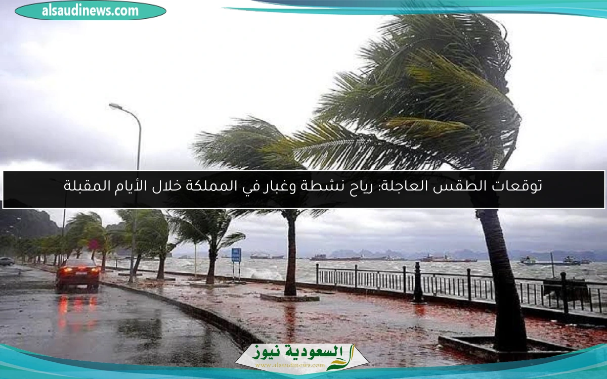 توقعات الطقس العاجلة: رياح نشطة وغبار في المملكة خلال الأيام المقبلة