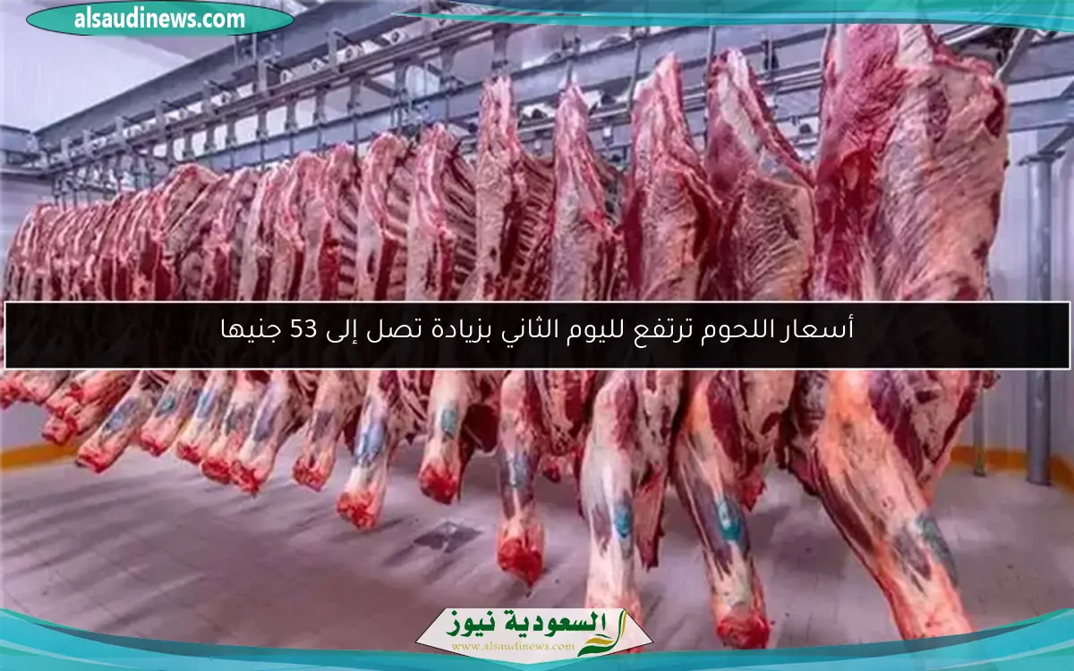 أسعار اللحوم ترتفع لليوم الثاني بزيادة تصل إلى 53 جنيها