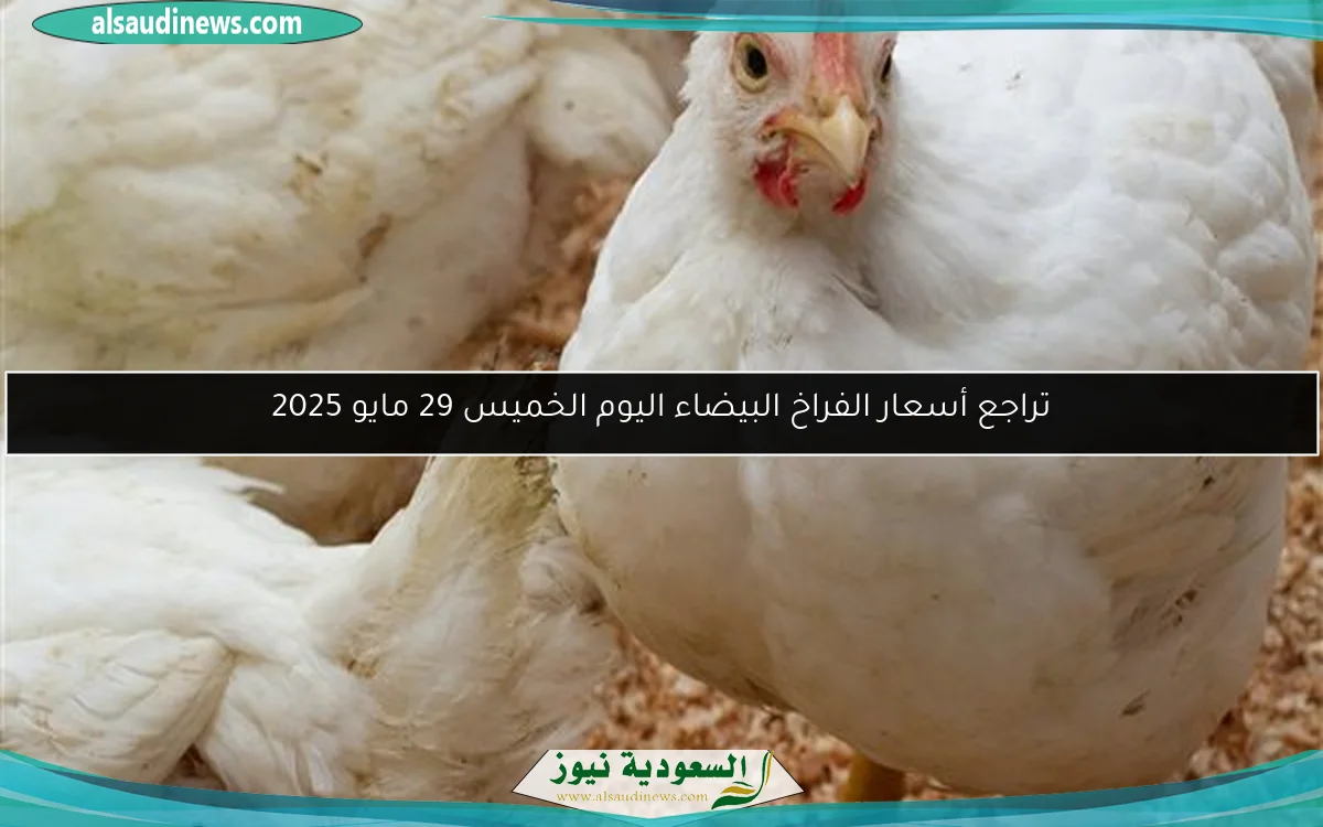 تراجع أسعار الفراخ البيضاء اليوم الخميس 29 مايو 2025