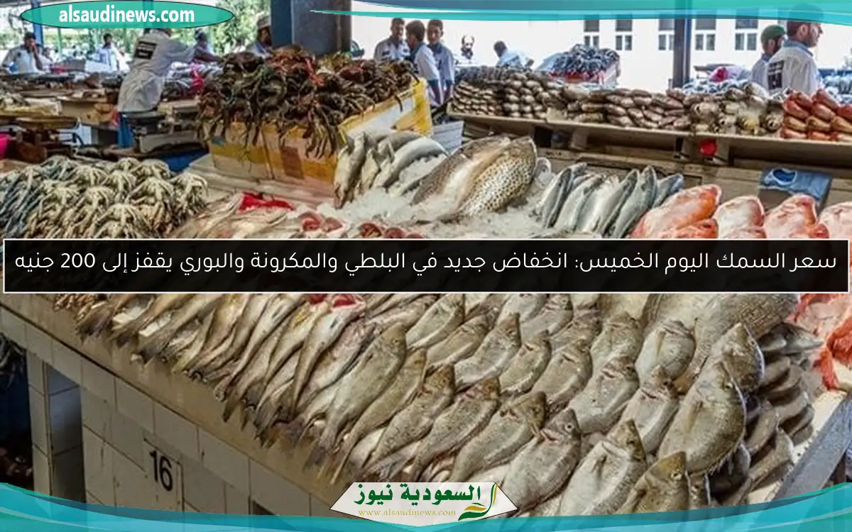 سعر السمك اليوم الخميس: انخفاض جديد في البلطي والمكرونة والبوري يقفز إلى 200 جنيه