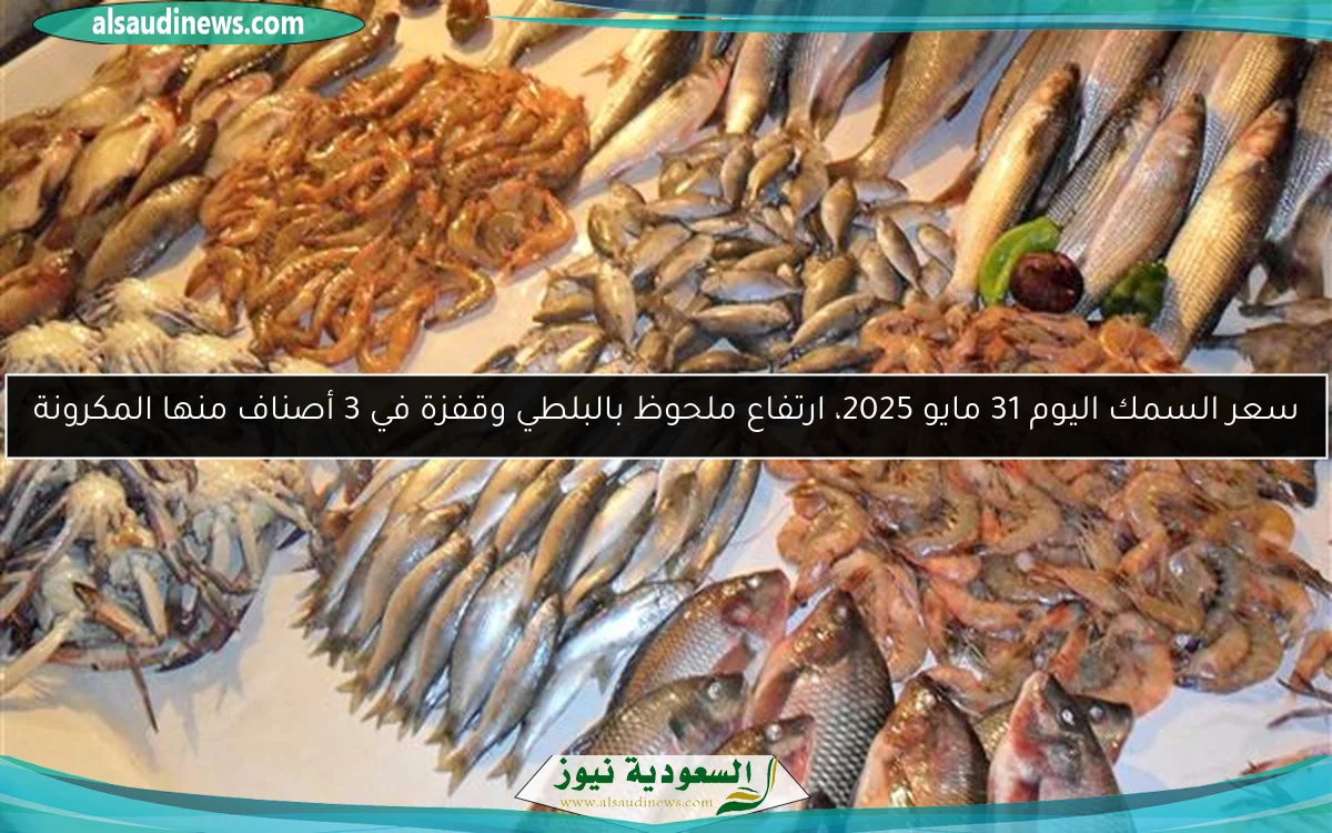 سعر السمك اليوم 31 مايو 2025، ارتفاع ملحوظ بالبلطي وقفزة في 3 أصناف منها المكرونة