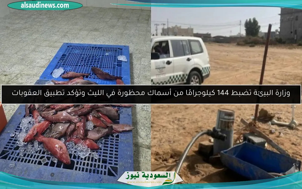 وزارة البيئة تضبط 144 كيلوجرامًا من أسماك محظورة في الليث وتؤكد تطبيق العقوبات