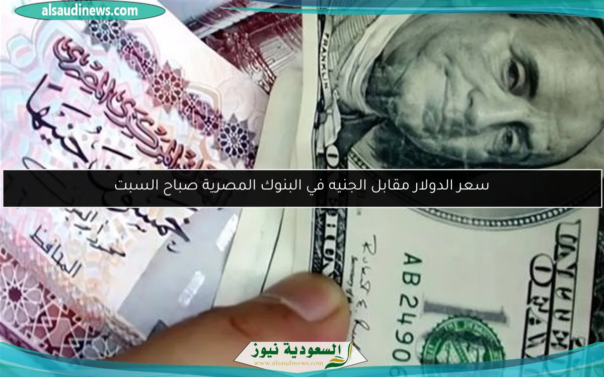 سعر الدولار مقابل الجنيه في البنوك المصرية صباح السبت