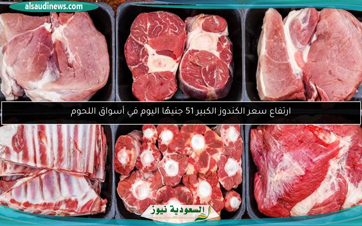 اكتشف موعد صرف معاش تكافل وكرامة لشهر مايو 2025 وكيفية الاستعلام بسهولة