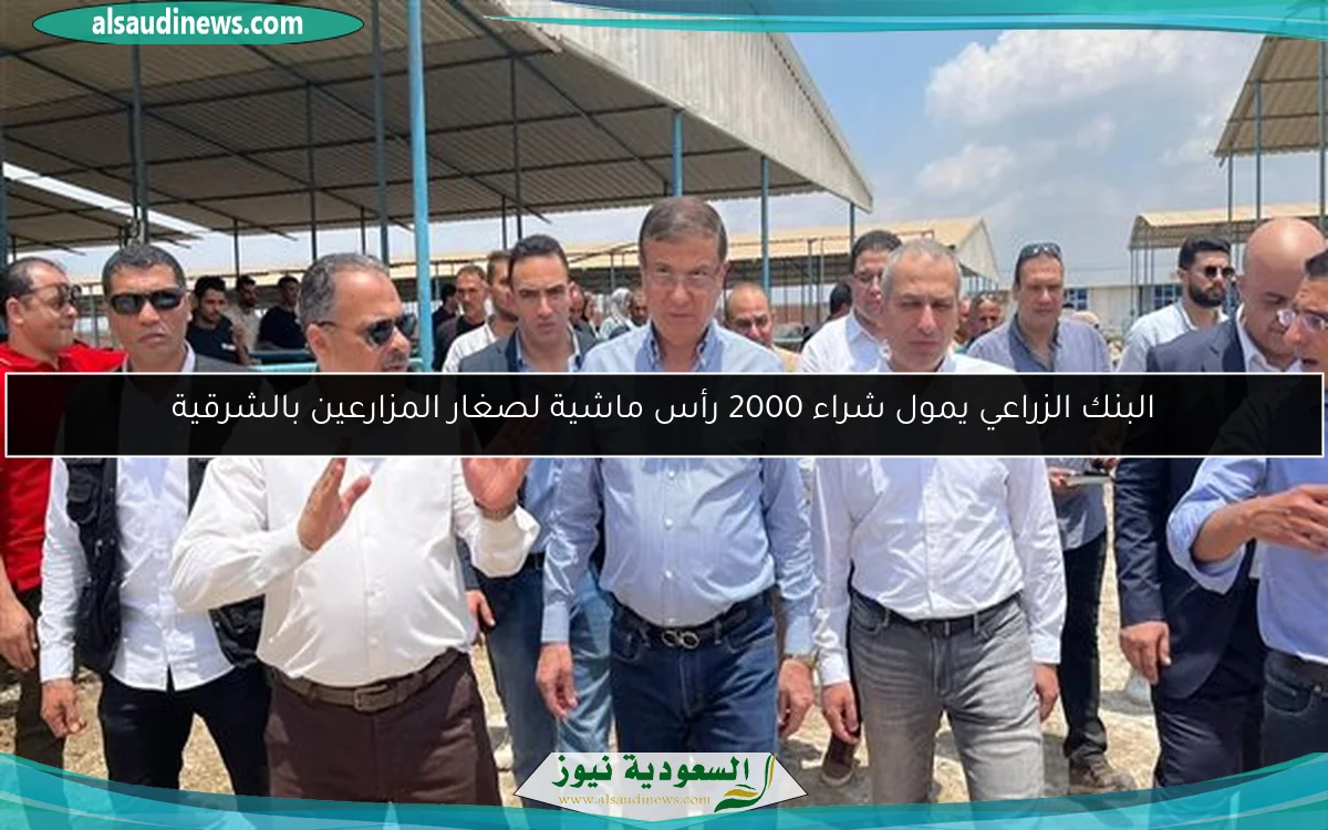 البنك الزراعي يمول شراء 2000 رأس ماشية لصغار المزارعين بالشرقية