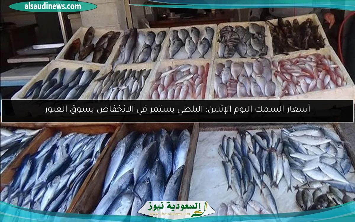 أسعار السمك اليوم الإثنين: البلطي يستمر في الانخفاض بسوق العبور