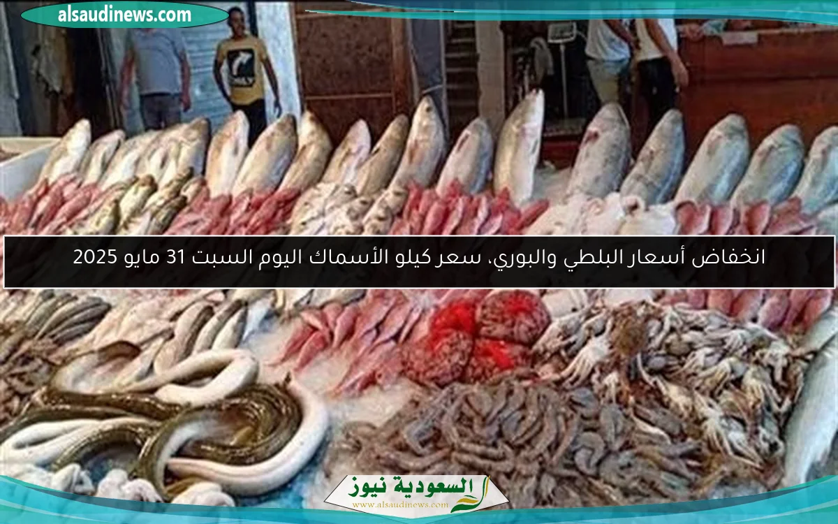 انخفاض أسعار البلطي والبوري، سعر كيلو الأسماك اليوم السبت 31 مايو 2025