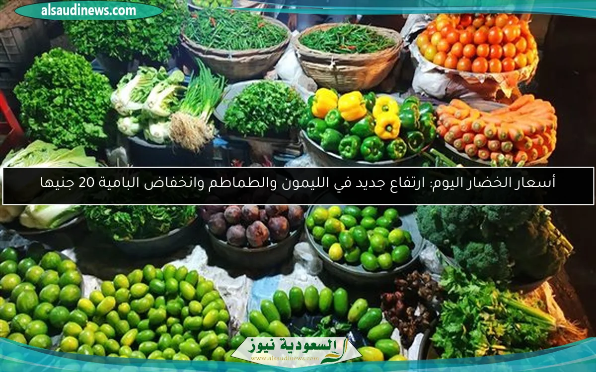 أسعار الخضار اليوم: ارتفاع جديد في الليمون والطماطم وانخفاض البامية 20 جنيها