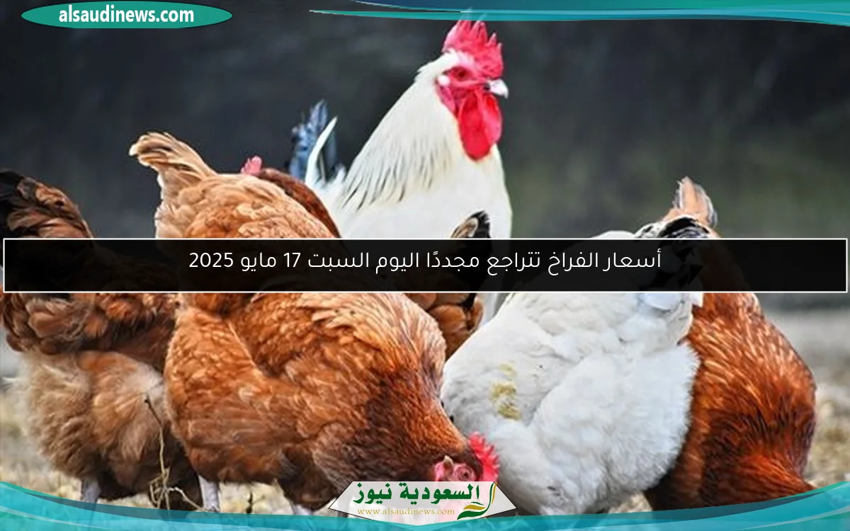 أسعار الفراخ تتراجع مجددًا اليوم السبت 17 مايو 2025