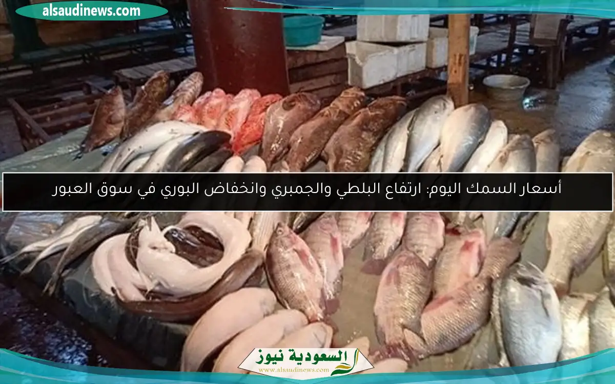 أسعار السمك اليوم: ارتفاع البلطي والجمبري وانخفاض البوري في سوق العبور