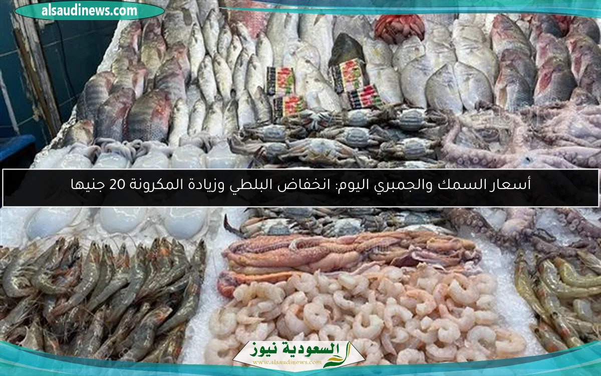 أسعار السمك والجمبري اليوم: انخفاض البلطي وزيادة المكرونة 20 جنيها