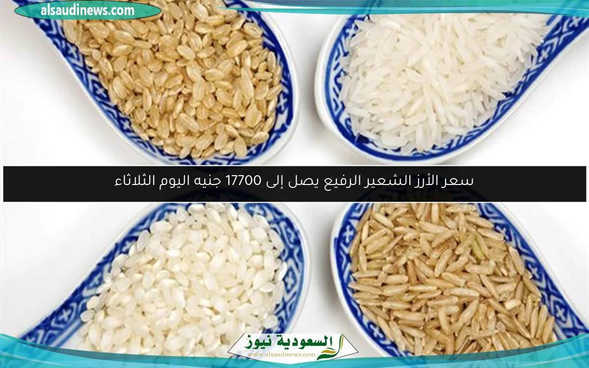 سعر الأرز الشعير الرفيع يصل إلى 17700 جنيه اليوم الثلاثاء