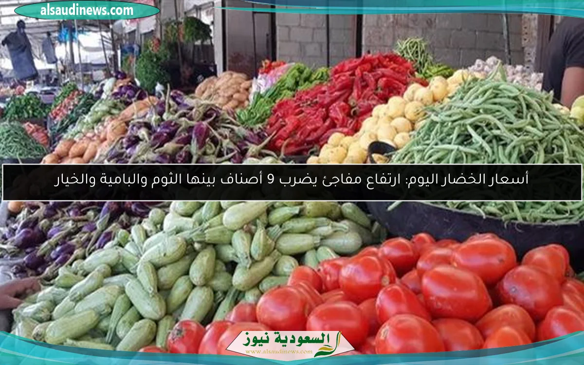 أسعار الخضار اليوم: ارتفاع مفاجئ يضرب 9 أصناف بينها الثوم والبامية والخيار
