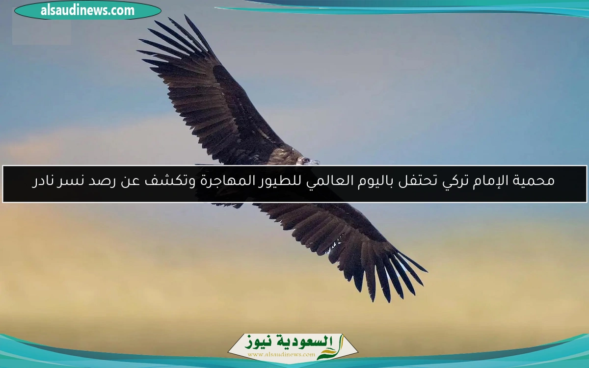 محمية الإمام تركي تحتفل باليوم العالمي للطيور المهاجرة وتكشف عن رصد نسر نادر
