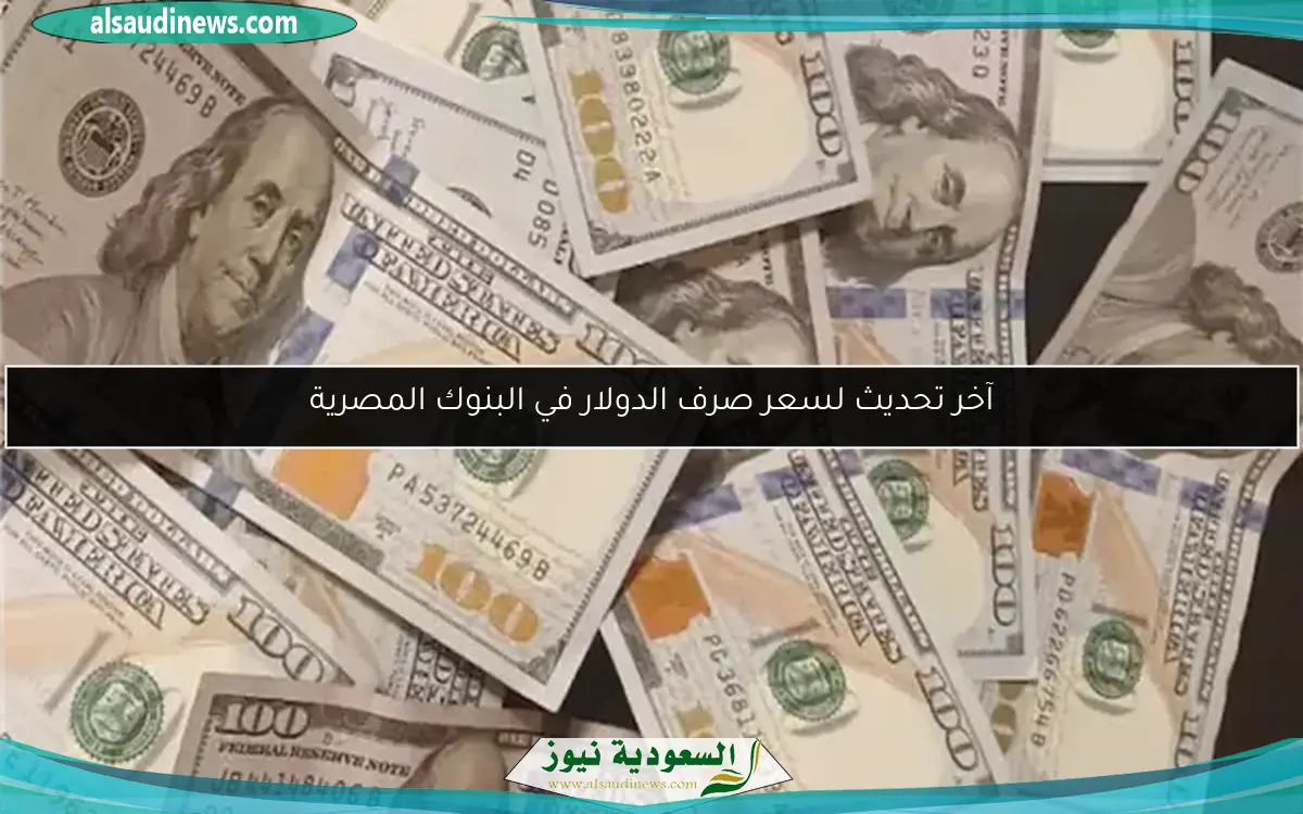 تحديث سعر الدولار في البنك المركزي والبنوك المصرية
