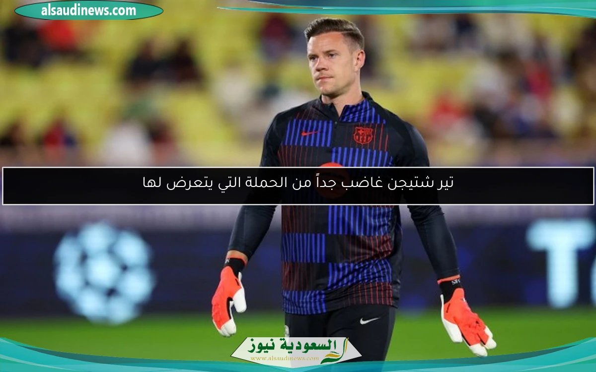تير شتيجن غاضب جداً من الحملة التي يتعرض لها