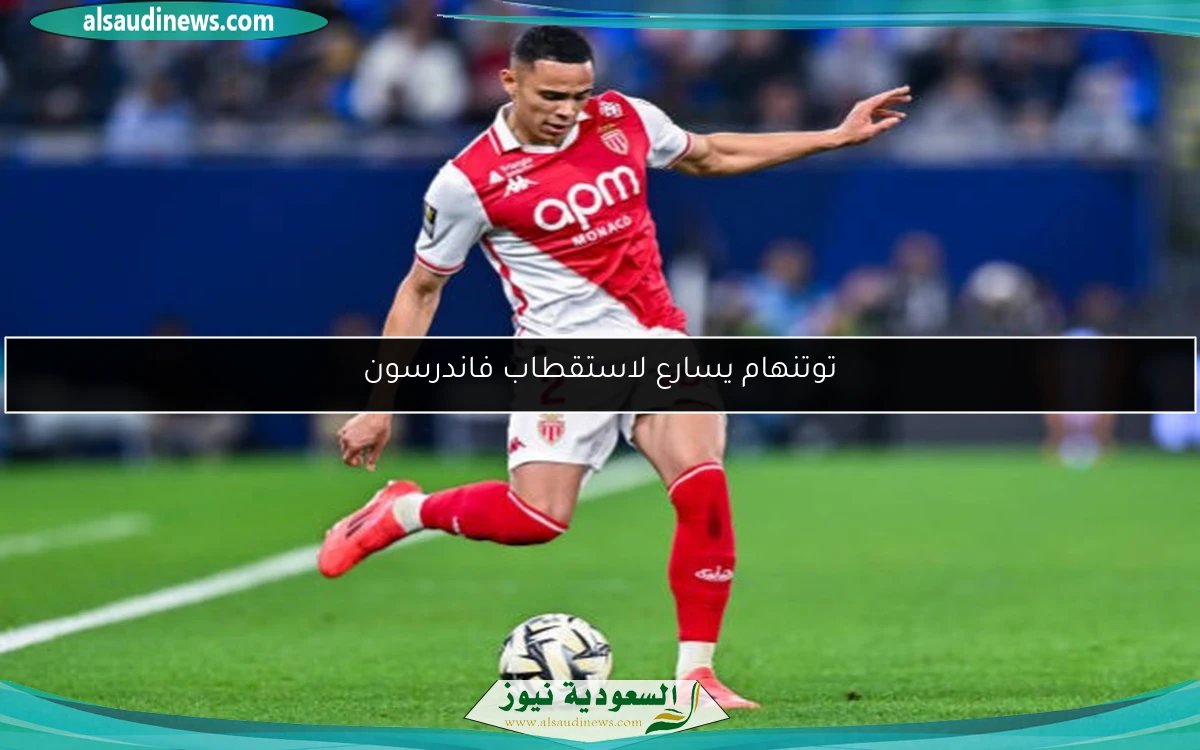 توتنهام يسارع لاستقطاب فاندرسون