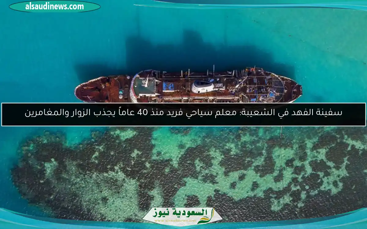 سفينة الفهد في الشعيبة: معلم سياحي فريد منذ 40 عاماً يجذب الزوار والمغامرين
