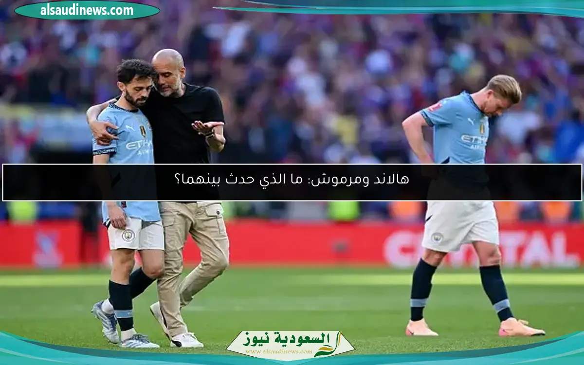 هالاند ومرموش: ما الذي حدث بينهما؟