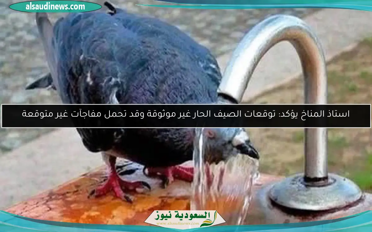 استاذ المناخ يؤكد: توقعات الصيف الحار غير موثوقة وقد تحمل مفاجآت غير متوقعة