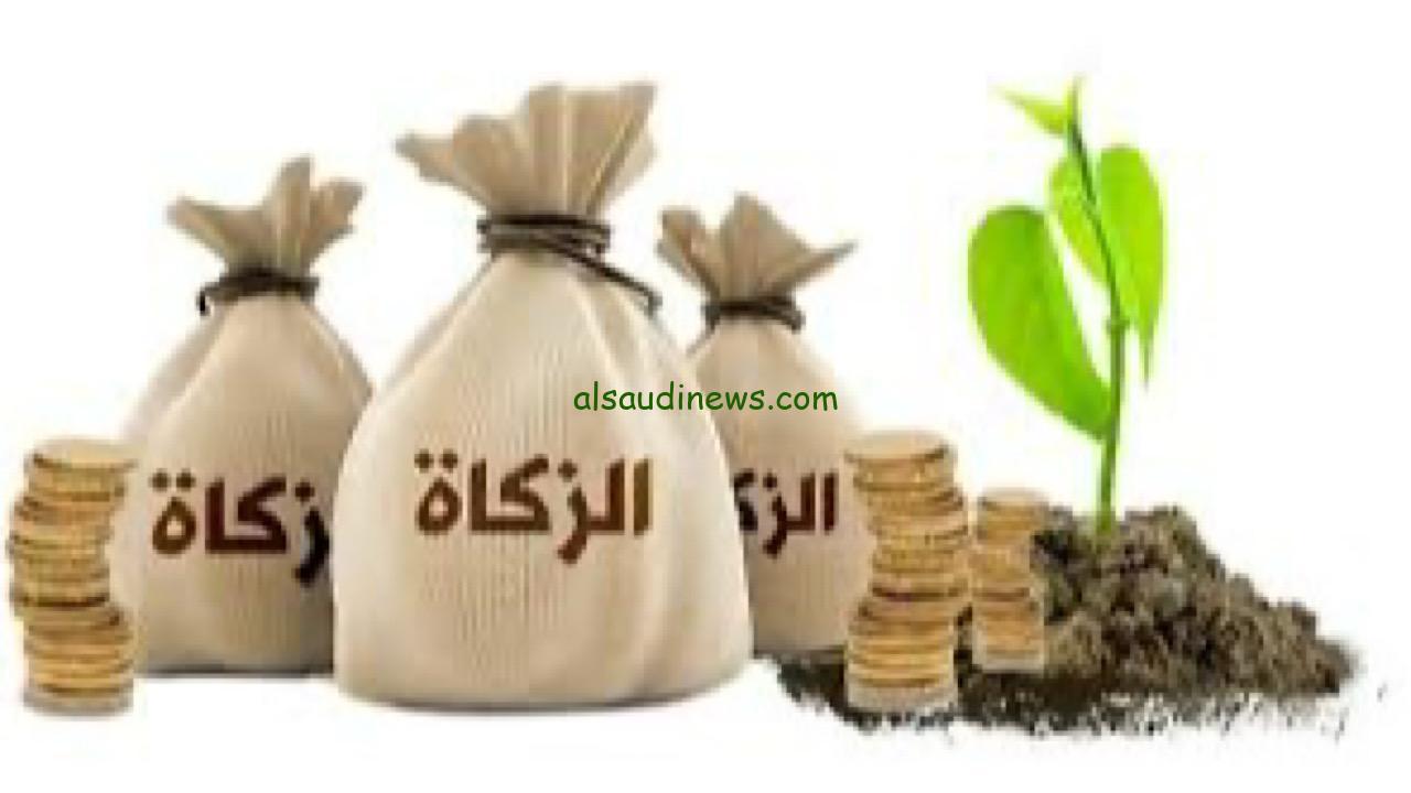 الشيخ المنيع يوضح حكم الزكاة لمن يجهل واجبها وأحكامها الأساسية