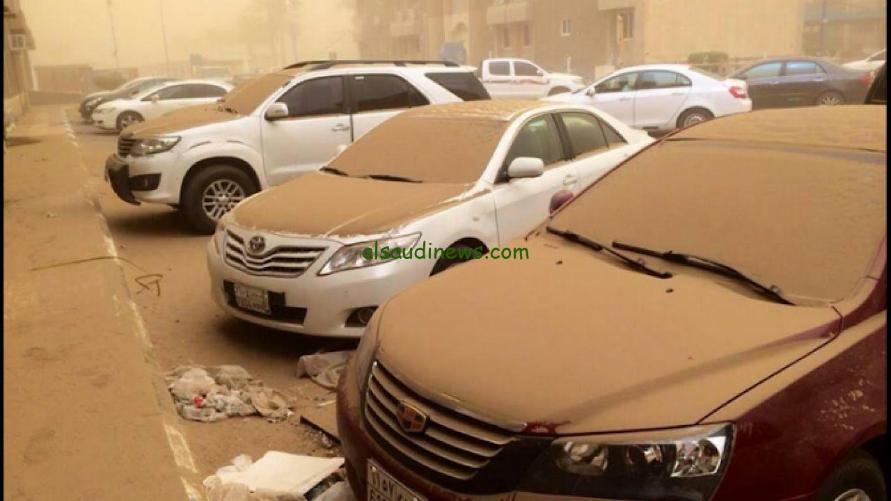 الدكتور المسند: غسيل السيارات والحدائق يبدأ غدًا وسط ضعف موسم المراويح