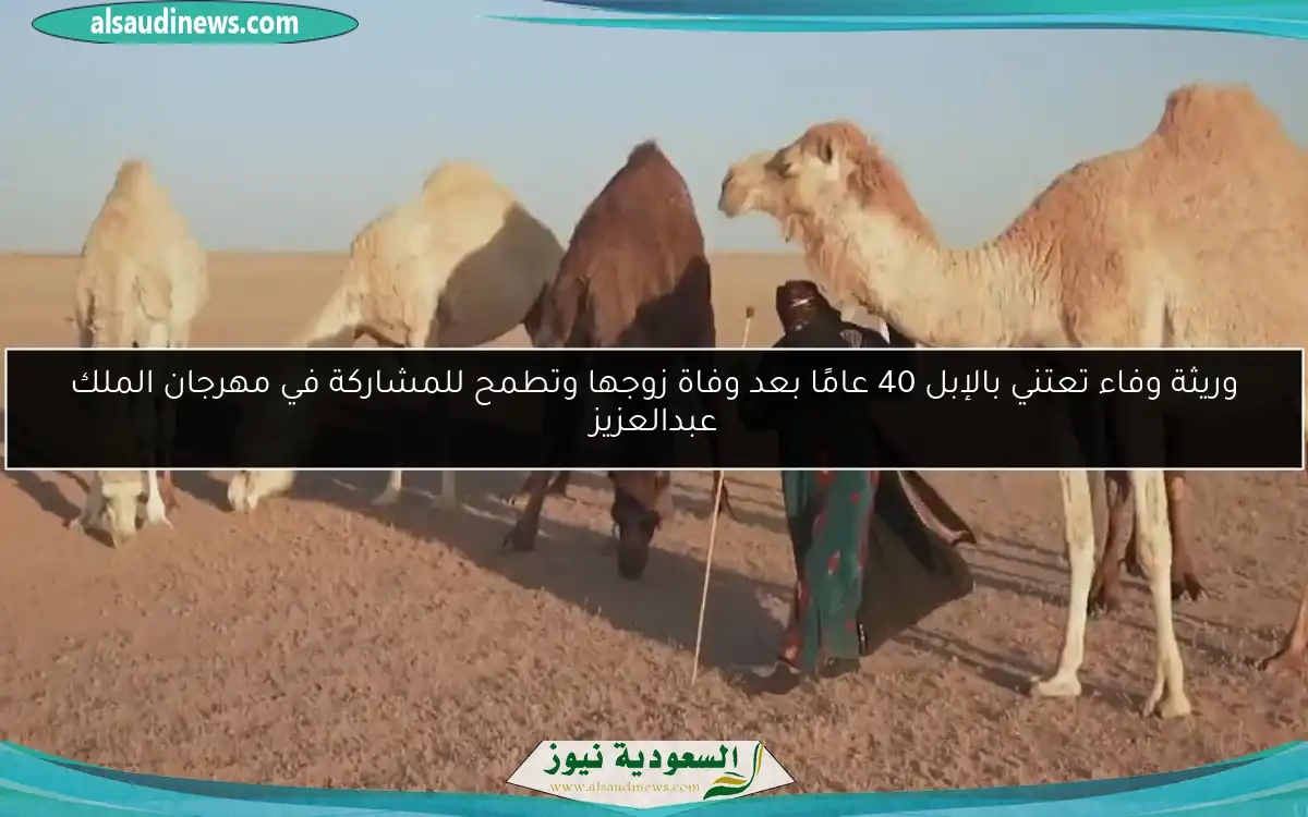 وريثة وفاء تعتني بالإبل 40 عامًا بعد وفاة زوجها وتطمح للمشاركة في مهرجان الملك عبدالعزيز