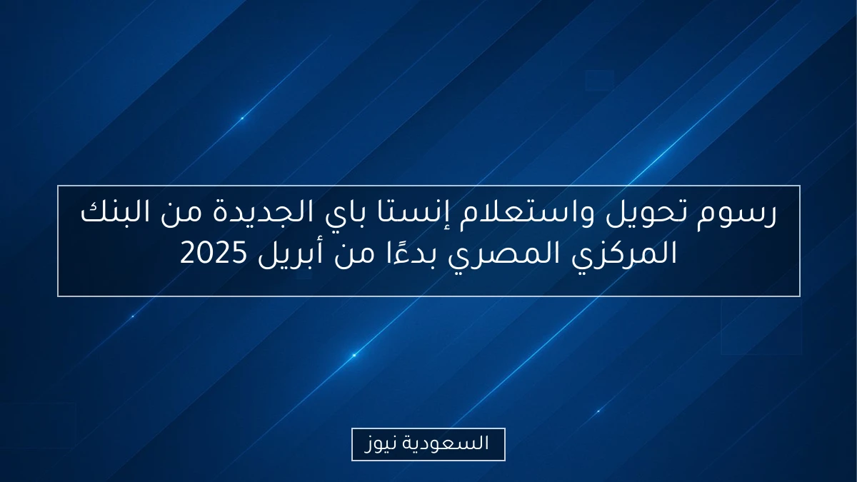 رسوم تحويل واستعلام إنستا باي الجديدة من البنك المركزي المصري بدءًا من أبريل 2025