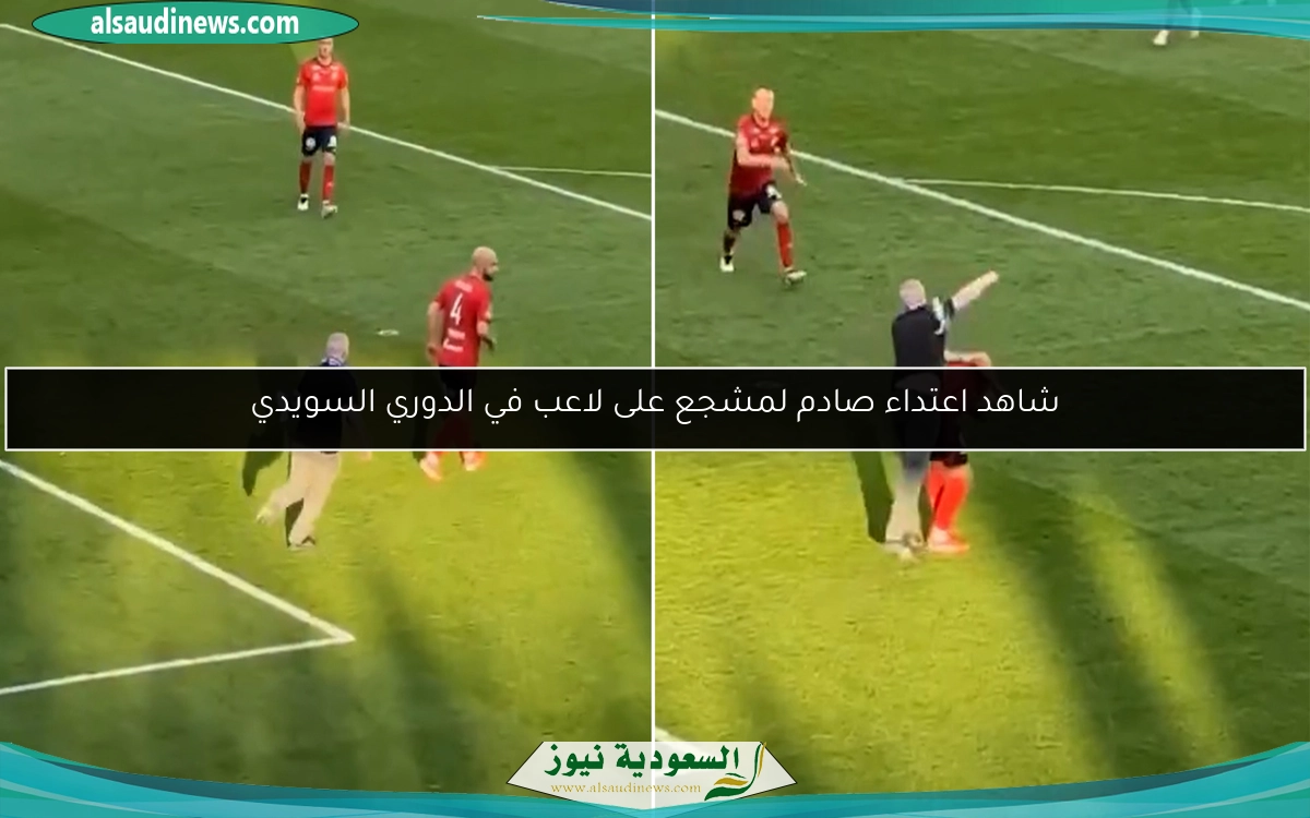 شاهد اعتداء صادم لمشجع على لاعب في الدوري السويدي